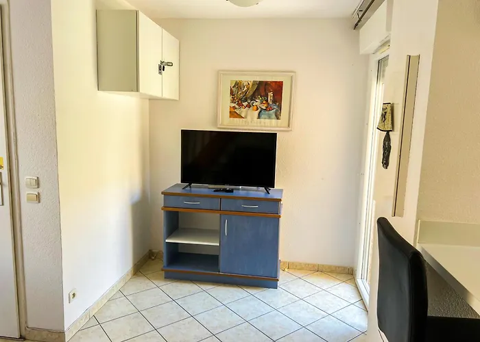 Maison Familiale Dans Le Domaine De La Avec Piscine Privee, A 200m De La *